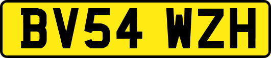 BV54WZH