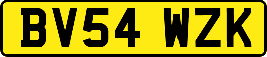 BV54WZK