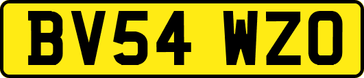 BV54WZO