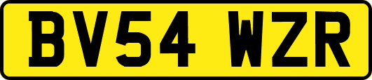 BV54WZR