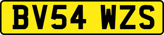 BV54WZS
