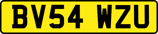 BV54WZU