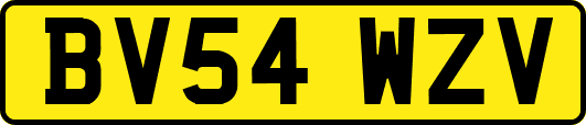 BV54WZV