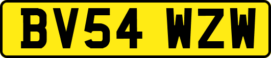 BV54WZW