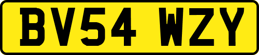 BV54WZY