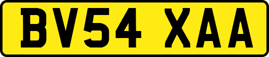 BV54XAA