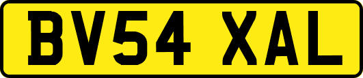 BV54XAL