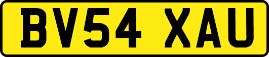 BV54XAU