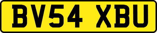 BV54XBU