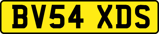 BV54XDS