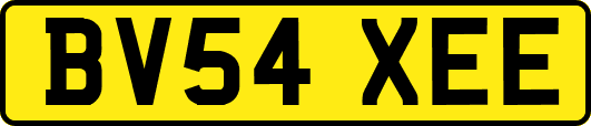 BV54XEE