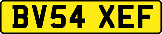 BV54XEF