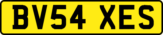 BV54XES