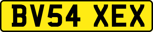 BV54XEX