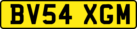 BV54XGM
