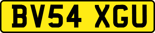 BV54XGU
