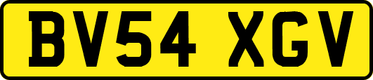 BV54XGV