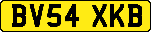 BV54XKB
