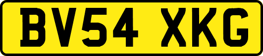 BV54XKG