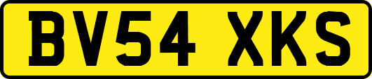 BV54XKS