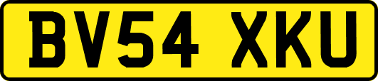 BV54XKU