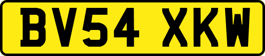 BV54XKW