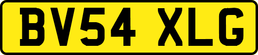 BV54XLG