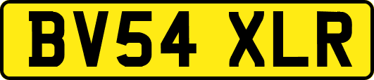 BV54XLR