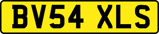 BV54XLS