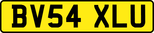 BV54XLU