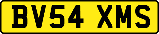BV54XMS