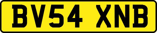 BV54XNB