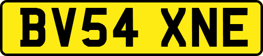 BV54XNE