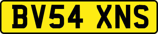 BV54XNS
