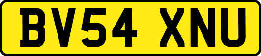BV54XNU