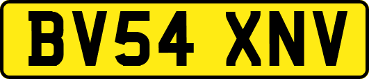 BV54XNV