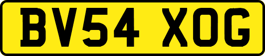 BV54XOG