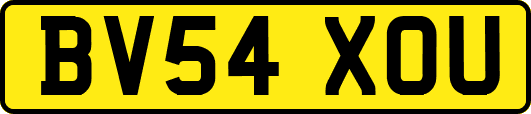 BV54XOU