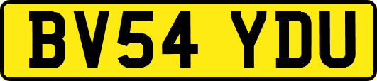 BV54YDU