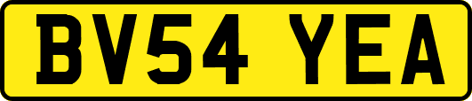 BV54YEA