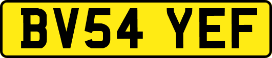 BV54YEF