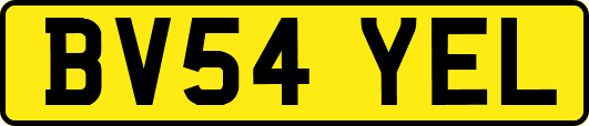 BV54YEL