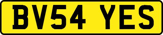 BV54YES