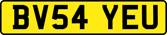 BV54YEU