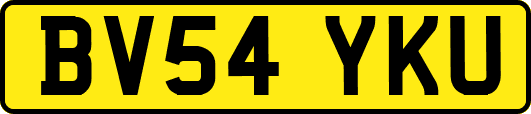 BV54YKU