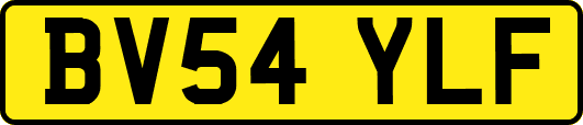 BV54YLF