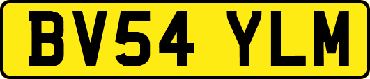 BV54YLM