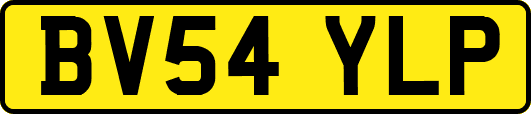 BV54YLP