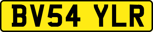 BV54YLR
