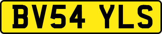 BV54YLS